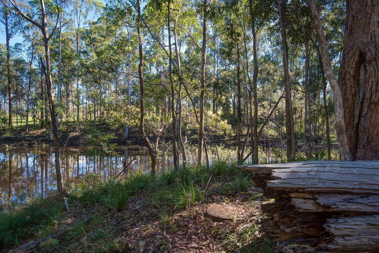 منزل الضيف Gheerulla  في Oakey Creek Country Retreat Kenilworth المظهر الخارجي الصورة